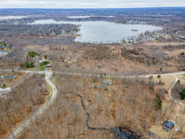 5436 Strawberry Lake Rd, Whitmore Lake, MI 48189 - aerial view of property's location with a large body of water