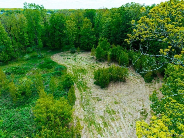C-1 Doa Ln, Brighton, MI 48114