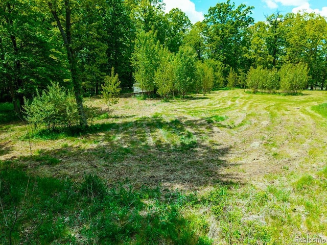 C-1 Doa Ln, Brighton, MI 48114