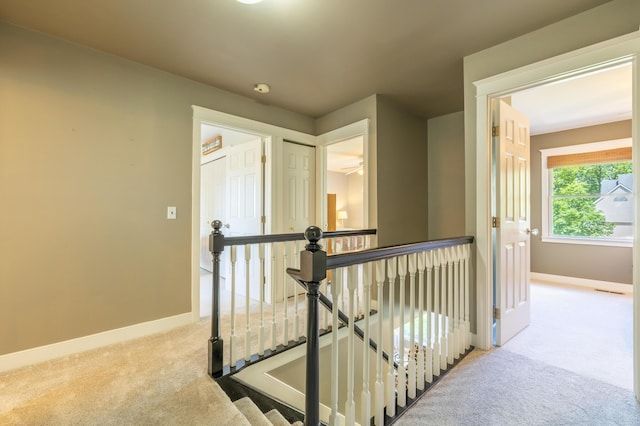 1050 Long Leaf Ct, Brighton, MI 48116 - corridor with carpet, baseboards, and an upstairs landing