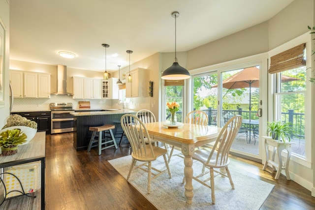 1050 Long Leaf Ct, Brighton, MI 48116 - dining area featuring healthy amount of natural light and dark wood-style floors