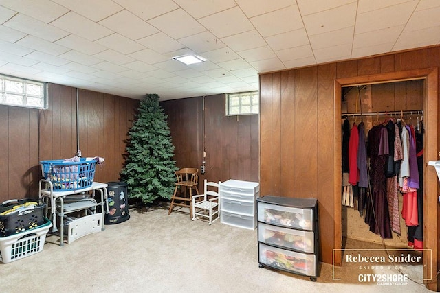 9409 Whitneyville Ave SE, Alto, MI 49302 - basement with wooden walls and carpet