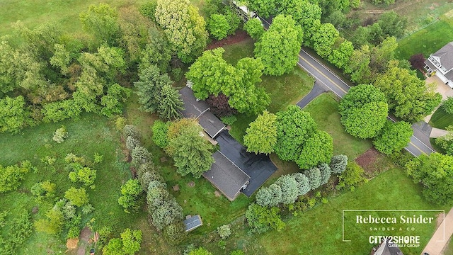 9409 Whitneyville Ave SE, Alto, MI 49302 - aerial view