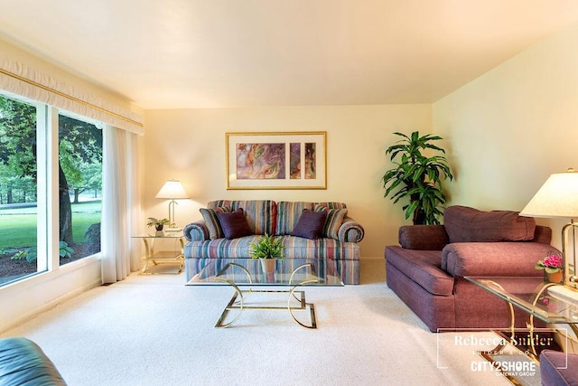 9409 Whitneyville Ave SE, Alto, MI 49302 - living area with carpet floors and baseboards