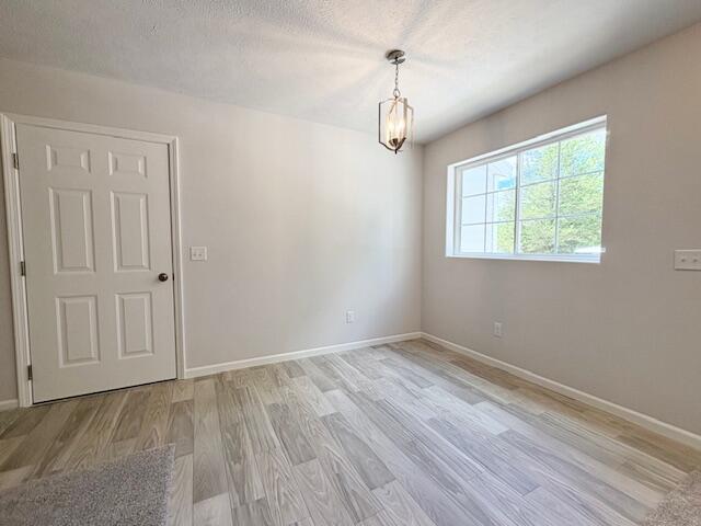 8121 Bowens Mill Rd, Middleville, MI 49333 - spare room featuring light wood finished floors, a chandelier, and baseboards