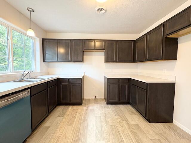 8121 Bowens Mill Rd, Middleville, MI 49333 - kitchen featuring dishwasher, light wood-type flooring, dark brown cabinets, and a sink
