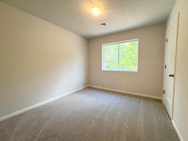 8121 Bowens Mill Rd, Middleville, MI 49333 - spare room with carpet and baseboards