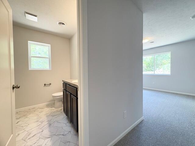 8121 Bowens Mill Rd, Middleville, MI 49333 - bathroom featuring toilet, healthy amount of natural light, vanity, and baseboards