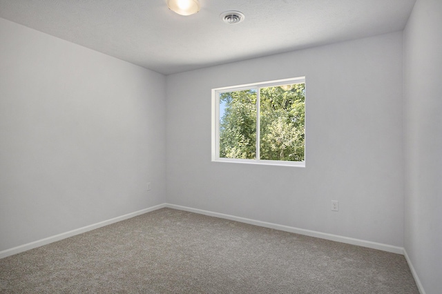 8121 Bowens Mill Rd, Middleville, MI 49333 - unfurnished room with carpet flooring and baseboards