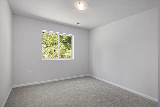 8121 Bowens Mill Rd, Middleville, MI 49333 - spare room featuring carpet floors, baseboards, and a textured ceiling