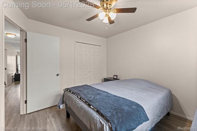 5908 Gilman St, Garden City, MI 48135 - bedroom with wood finished floors, a closet, ceiling fan, and baseboards