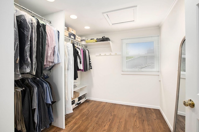 3509 Sulgrave Pl, Ann Arbor, MI 48105 - walk in closet featuring attic access and wood finished floors