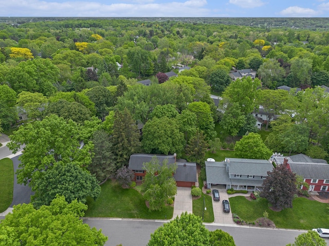 3509 Sulgrave Pl, Ann Arbor, MI 48105 - aerial view of a forest