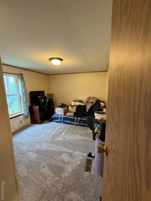 6858 W Emery Rd, Houghton Lake, MI 48629 - living area with carpet, a textured ceiling, and a desk