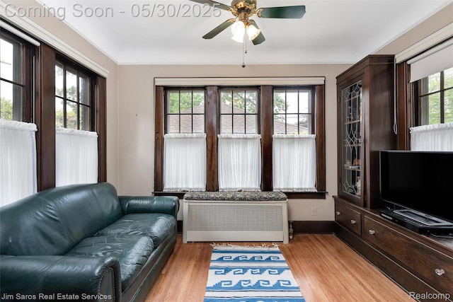 1377 Bishop Rd, Grosse Pointe Park, MI 48230 - living room featuring light wood finished floors, ceiling fan, and baseboards