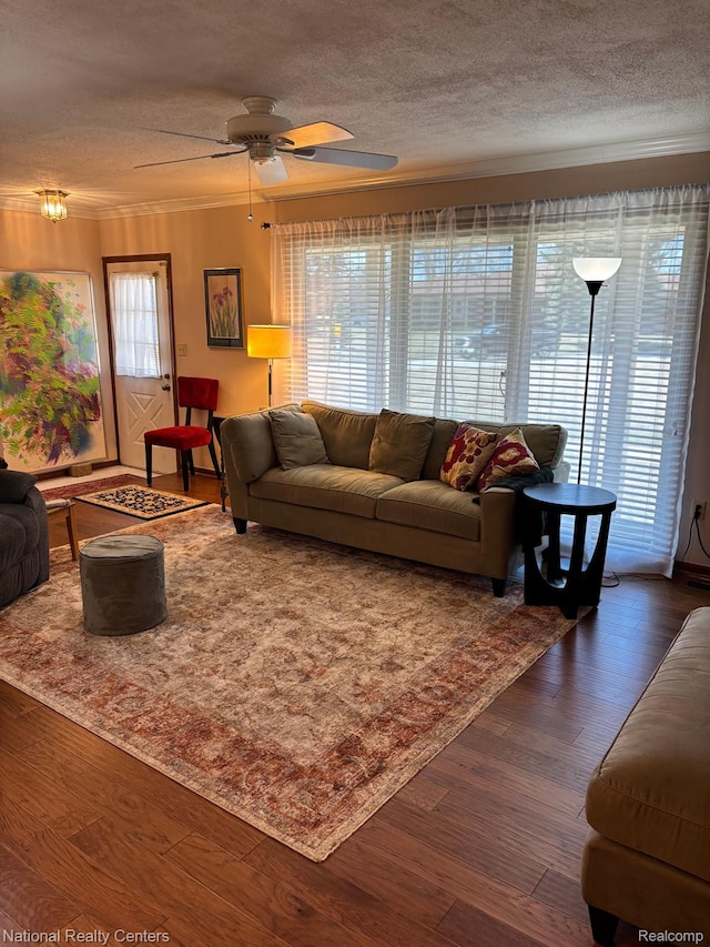 14764 Brewster Ct, Shelby Twp, MI 48315 - living room featuring a textured ceiling, dark wood finished floors, ceiling fan, and ornamental molding