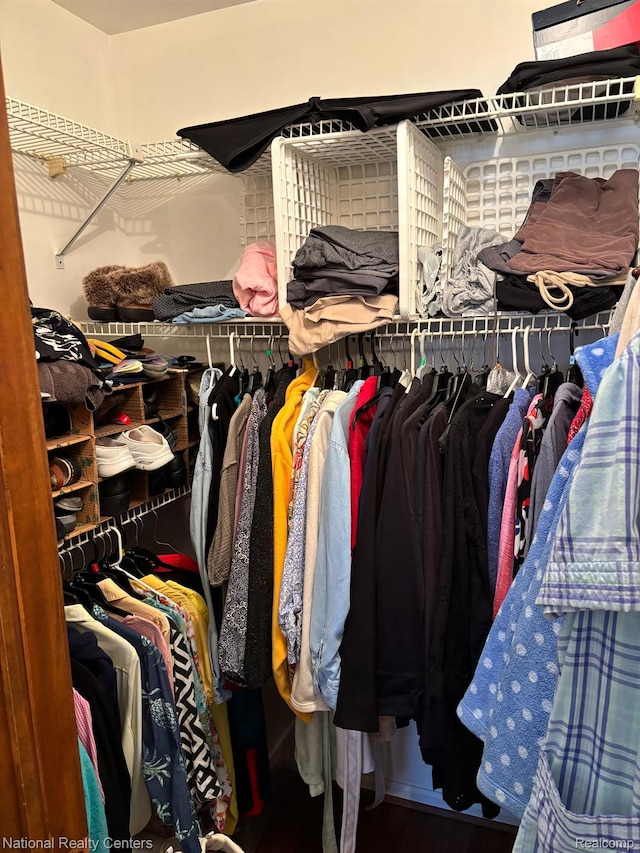 14764 Brewster Ct, Shelby Twp, MI 48315 - view of spacious closet