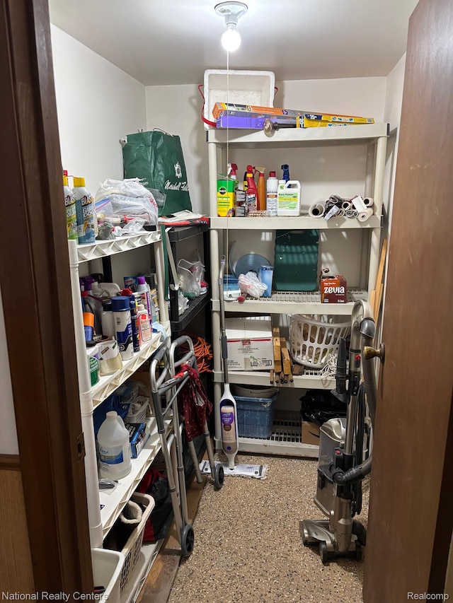 14764 Brewster Ct, Shelby Twp, MI 48315 - view of storage
