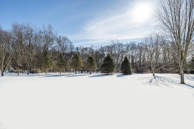 2184 Winters Way, Saint Joseph, MI 49085 - view of yard layered in snow