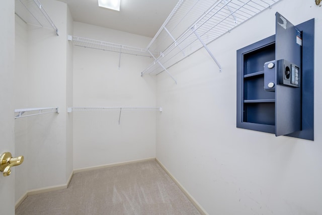2184 Winters Way, Saint Joseph, MI 49085 - walk in closet with carpet flooring