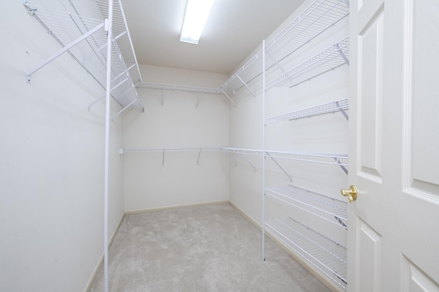 2184 Winters Way, Saint Joseph, MI 49085 - walk in closet with carpet floors