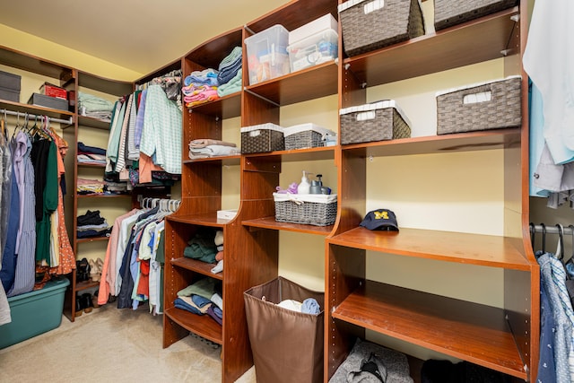 1743 Savannah Ln, Ypsilanti, MI 48198 - walk in closet with carpet