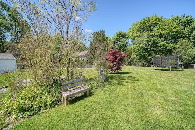 962 Vine St, Adrian, MI 49221 - view of yard with a trampoline