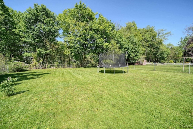 962 Vine St, Adrian, MI 49221 - view of yard with a trampoline