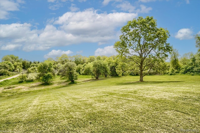2680 N Lake George Rd, Metamora, MI 48455 - view of green lawn with view of scattered trees