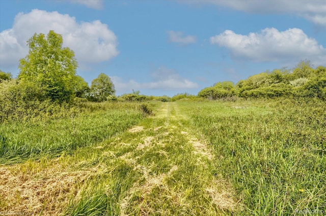 2680 N Lake George Rd, Metamora, MI 48455 - view of undeveloped land featuring rural landscape