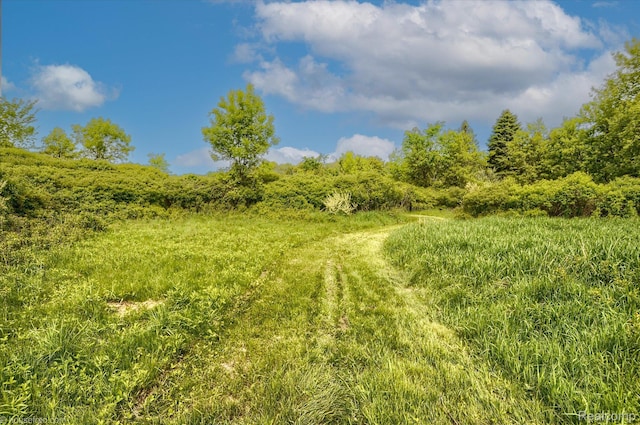2680 N Lake George Rd, Metamora, MI 48455 - view of nature