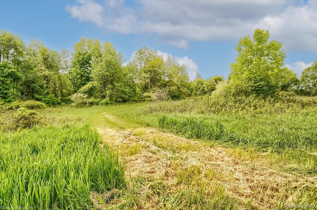 2680 N Lake George Rd, Metamora, MI 48455 - view of local wilderness