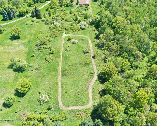 2680 N Lake George Rd, Metamora, MI 48455 - aerial view of property's location