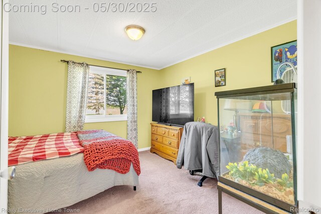 3889 Wadhams Rd, Clyde, MI 48049 - carpeted bedroom with crown molding and baseboards