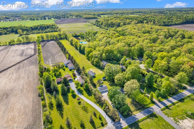 3889 Wadhams Rd, Clyde, MI 48049 - bird's eye view of a forest