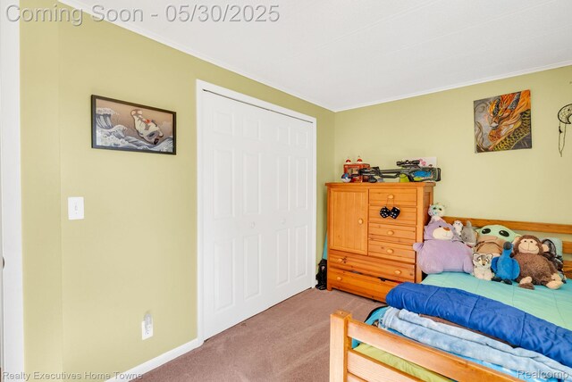 3889 Wadhams Rd, Clyde, MI 48049 - carpeted bedroom featuring crown molding