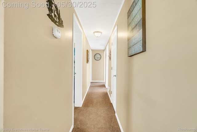 3889 Wadhams Rd, Clyde, MI 48049 - hallway featuring carpet and baseboards