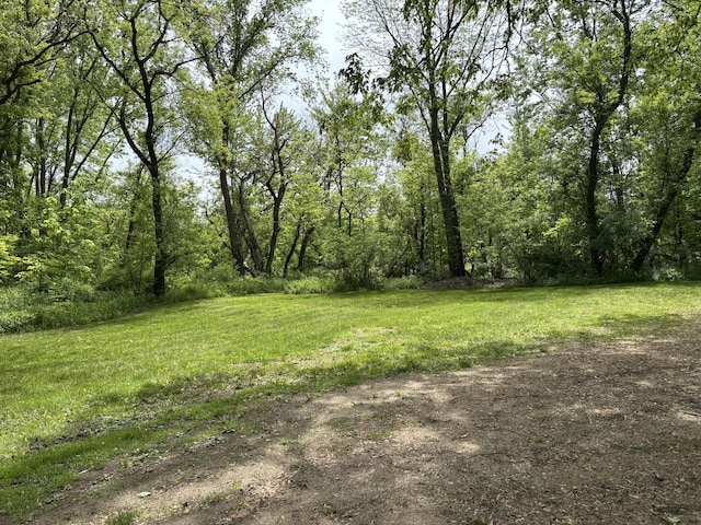 28131 66th St, Bangor, MI 49013 - view of yard featuring a view of trees