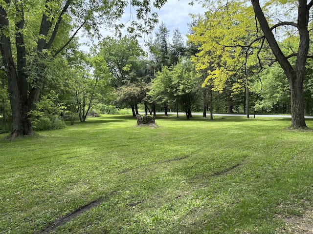 28131 66th St, Bangor, MI 49013 - view of grassy yard