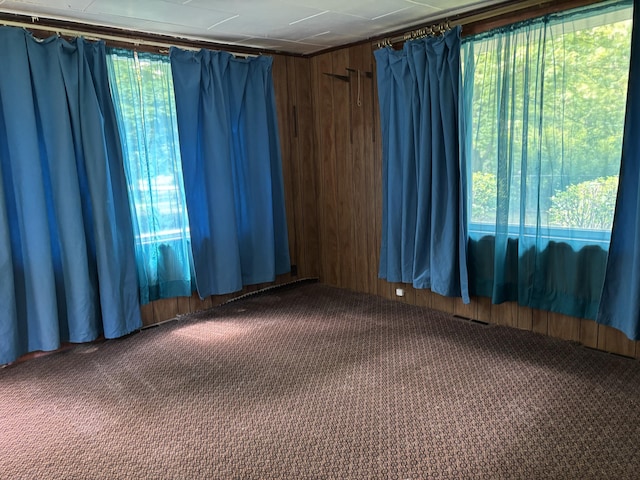 28131 66th St, Bangor, MI 49013 - spare room with carpet flooring and wood walls