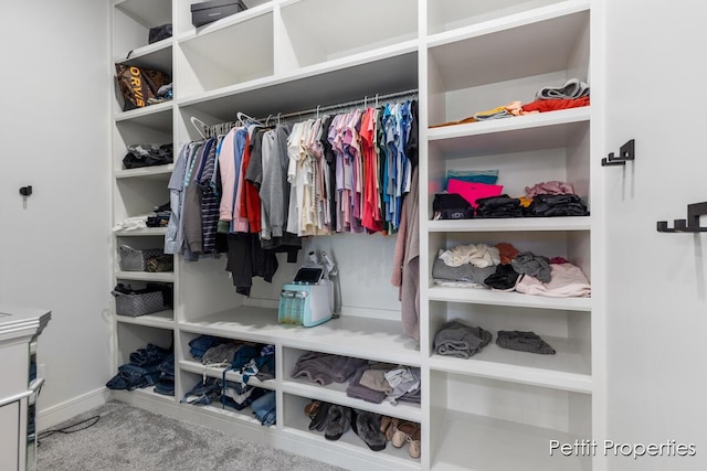 1509 Ponstein Dr, Hudsonville, MI 49426 - walk in closet featuring carpet floors