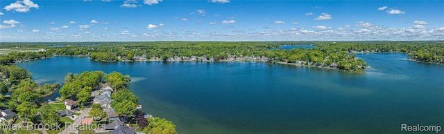 6863 Brightwood Ct, Waterford, MI 48327 - aerial view of a large body of water and a heavily wooded area