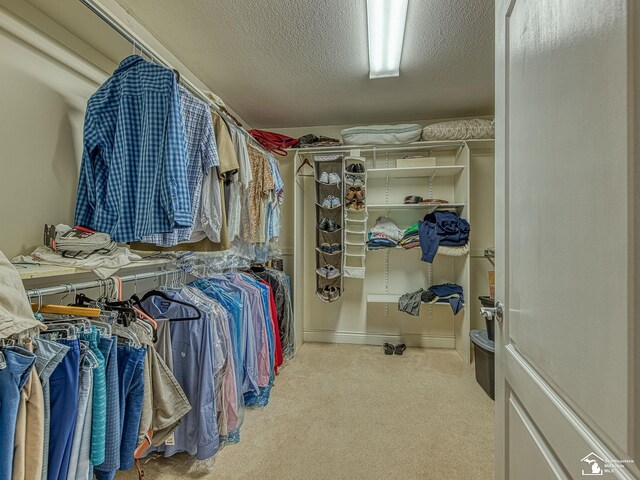 3159 Janea Rue Blvd, Monroe, MI 48162 - walk in closet featuring carpet floors