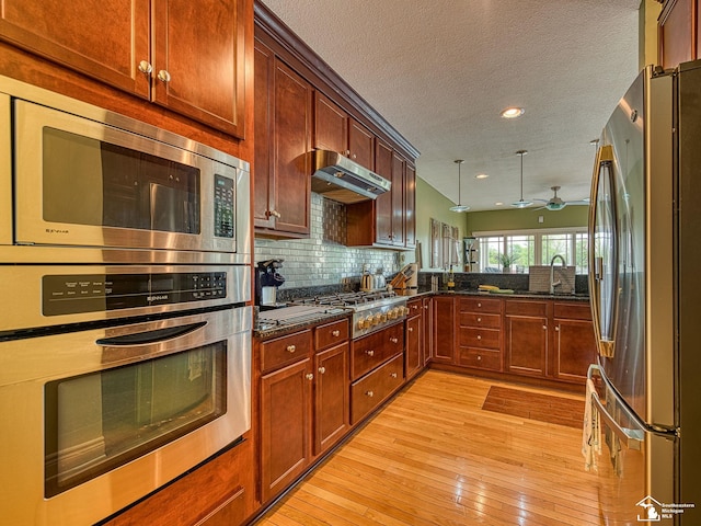 3159 Janea Rue Blvd, Monroe, MI 48162 - kitchen featuring appliances with stainless steel finishes, under cabinet range hood, light wood-type flooring, recessed lighting, and a sink