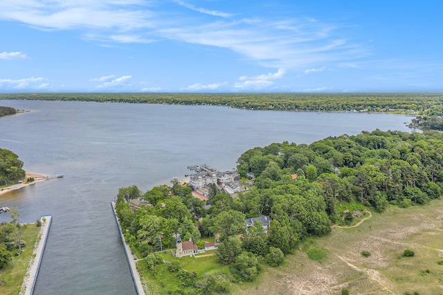 6180 Murray Rd Unit 301, Whitehall, MI 49461 - water view with a heavily wooded area
