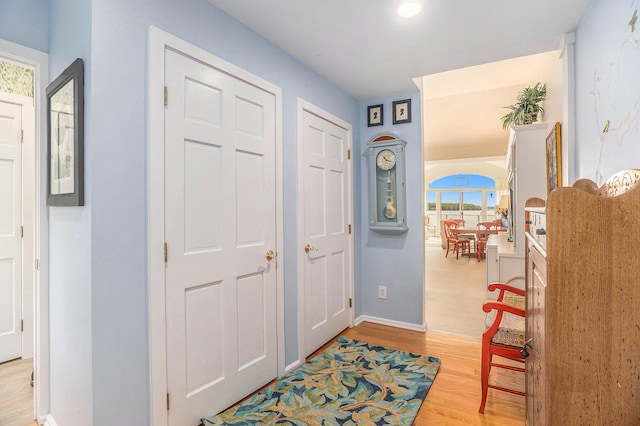 6180 Murray Rd Unit 301, Whitehall, MI 49461 - entrance foyer with light wood finished floors, baseboards, and healthy amount of natural light