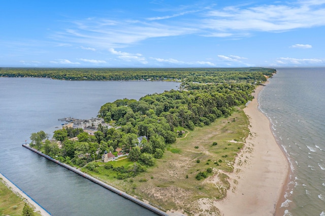 6180 Murray Rd Unit 301, Whitehall, MI 49461 - aerial view of a nearby body of water and a heavily wooded area