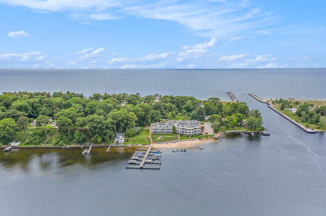 6180 Murray Rd Unit 301, Whitehall, MI 49461 - bird's eye view of a large body of water