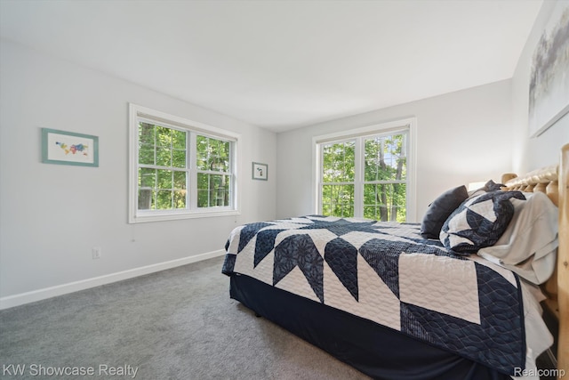 9120 Pineview Lake Dr, Linden, MI 48451 - carpeted bedroom featuring baseboards