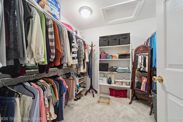 9120 Pineview Lake Dr, Linden, MI 48451 - spacious closet featuring attic access and carpet floors